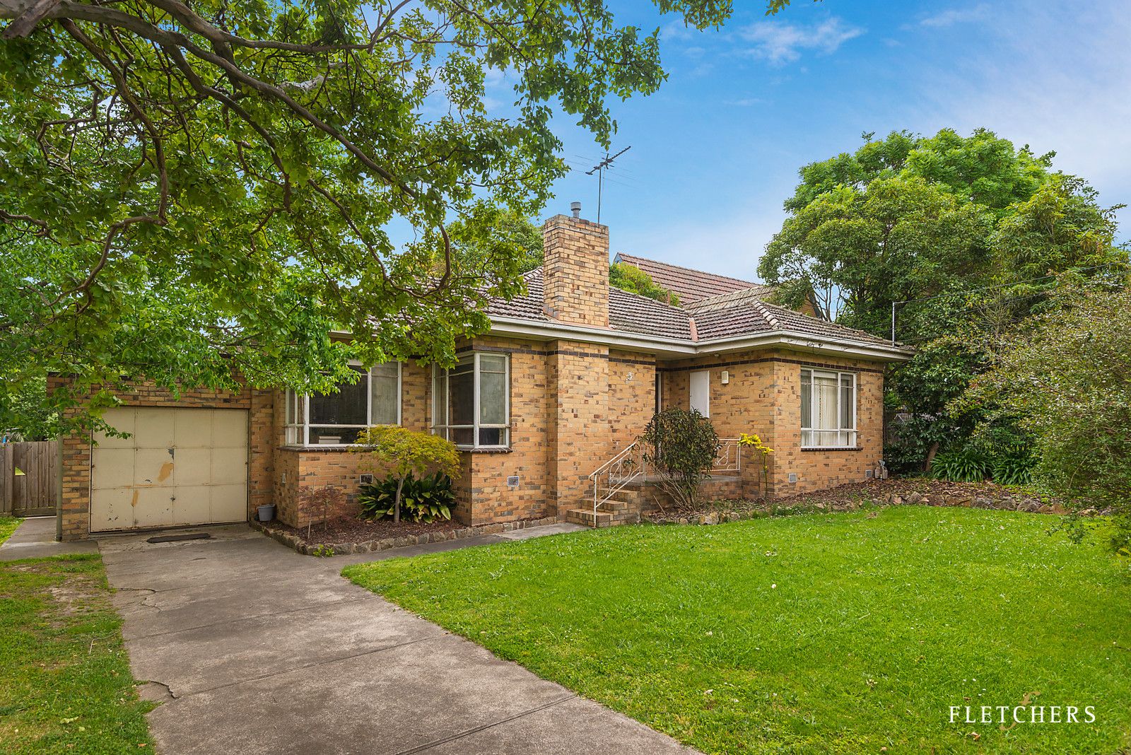 3-maple-street-box-hill